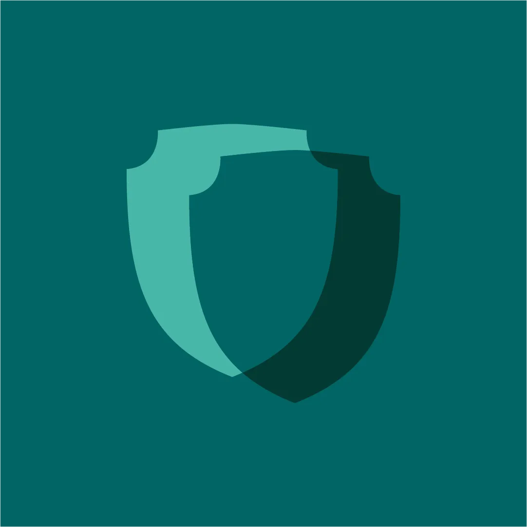 Feature icon